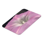 Pink Satin Morning Glory Magnet (Linke Seite)