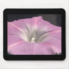 Pink-Satin Morning Glory Mousepad