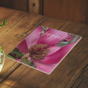 Pink Saucer Magnolia Blossom Floral Fliese