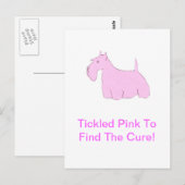Pink Scottish Terrier Postkarte (Vorne/Hinten)