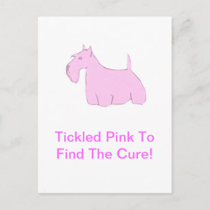 Pink Scottish Terrier Postkarte