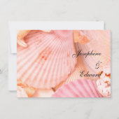 Pink Seashells (Vorderseite)