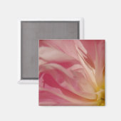 Pink Shade Magnet (Vorderseite/Rückseite)