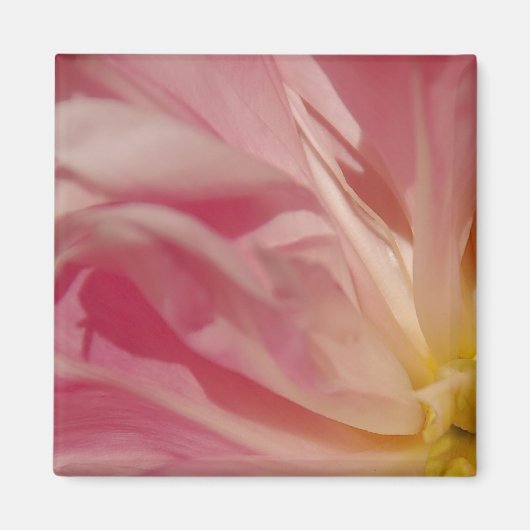 Pink Shade Magnet (Vorne)