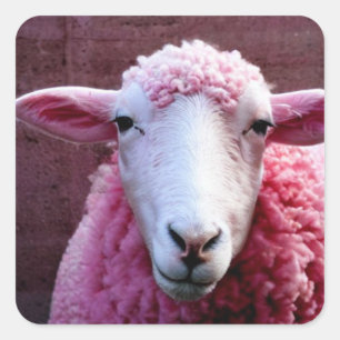 Pink Sheep Square Sticker