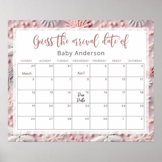 Pink & Silver Schneeflocken Raten Sie das Fälligke Poster (Vorne)