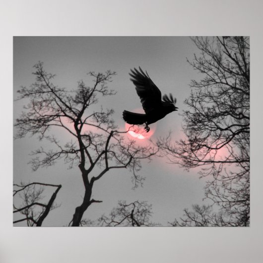 Pink Sky Stripe Poster (Vorne)