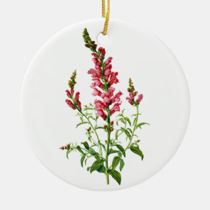 Pink Snapdragon Gezeichnet aus der Natur Keramikornament
