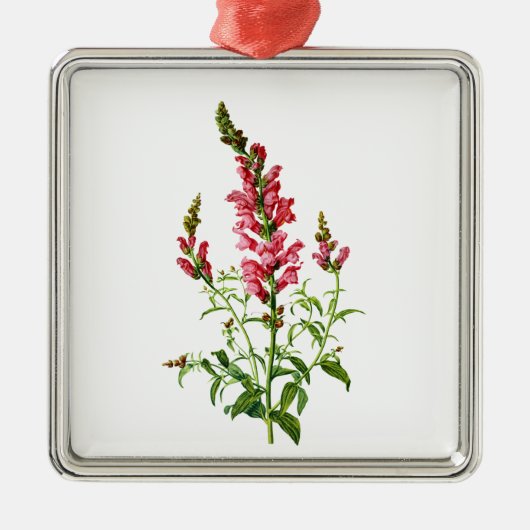 Pink Snapdragon Gezeichnet aus der Natur Silbernes Ornament (Vorne)