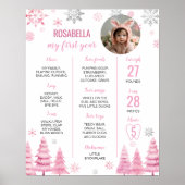 Pink Snowflake Birthday Milestone Foto Poster (Vorne)