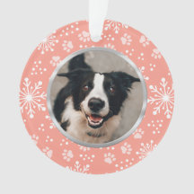 Pink Snowflake Paw Muster Pet Foto