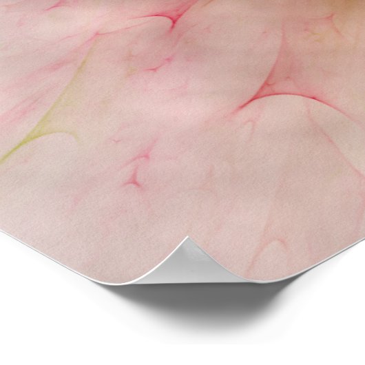 PINK SOFT CLOUUES POSTER (Ecke)