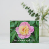 Pink Sorbet Peony Hi Hello Expression Postkarte (Stehend Vorderseite)