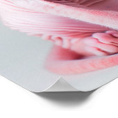 Pink Sphynx Katzenposter Poster (Ecke)