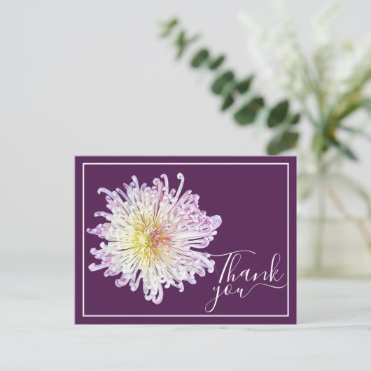 Pink Spider Mum mit Lila Hintergrund Vielen Dank Postkarte (Stehend Vorderseite)