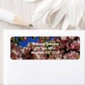 Pink Spring Blossom Blue Sky Orton Effect Address (Insitu)