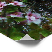 PINK SPRING Japanisches Magnolia-Poster Poster (Ecke)