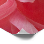 Pink Spring Peony Blume - Peonies Template Poster (Ecke)