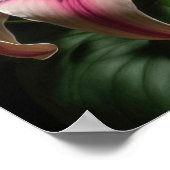 Pink Stargazer Lilies Blume Art Print Poster (Ecke)
