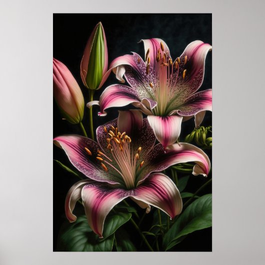 Pink Stargazer Lilies Blume Art Print Poster (Vorne)