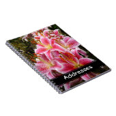 Pink Stargazer Lilies Notizblock (Rechte Seite)