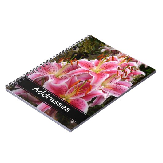 Pink Stargazer Lilies Notizblock (Linke Seite)