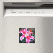 Pink Stargazer Lily Magnet (In Situ (Geschirrspüler))