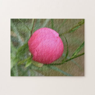 Pink Summer Blume Dewdrops Nature Fotografy Puzzle