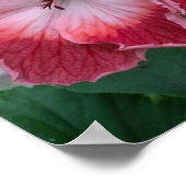 Pink Summer Blume Foto Nature Wall Poster (Ecke)