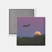 Pink Supermoon Eagle Magnet (Vorderseite/Rückseite)