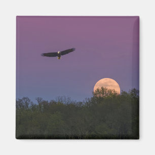 Pink Supermoon Eagle Magnet
