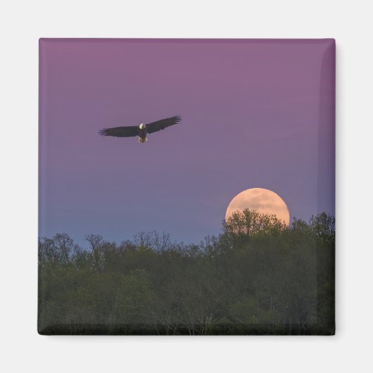 Pink Supermoon Eagle Magnet (Vorne)