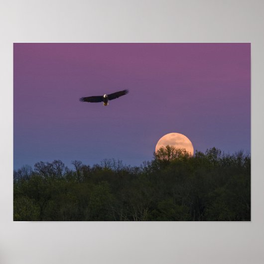 Pink Supermoon Eagle Poster (Vorne)