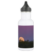 Pink Supermoon Eagle Water Botle Edelstahlflasche (Rechts)