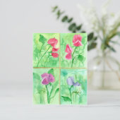 Pink Sweet Pea Blume Aquarellmalerei Postkarte (Stehend Vorderseite)