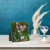 Pink Sweet Pea Fotoplatte (InSitu)