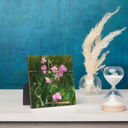 Pink Sweet Pea Fotoplatte (InSitu)