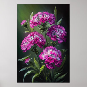 Pink Sweet William Blume Art Print Poster