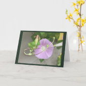 Pink Symphony Morning Glory Blanko Karte (Gelbe Blume)