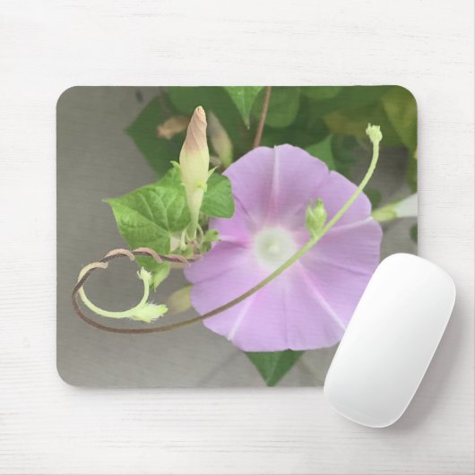 Pink Symphony Morning Glory Close-up Mousepad (Mit Mouse)