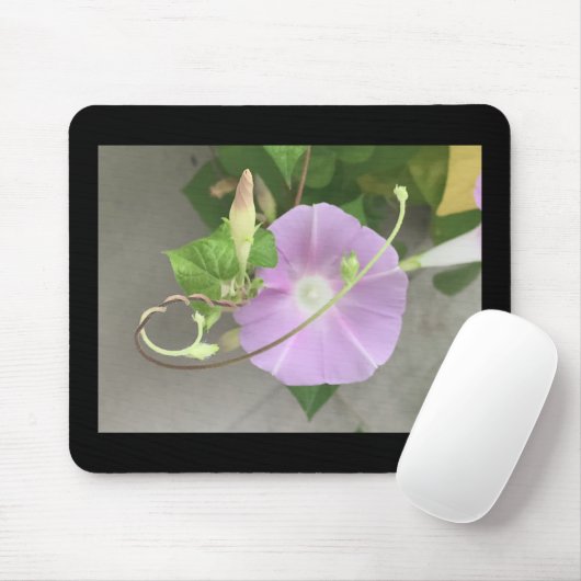 Pink Symphony Morning Glory  Mousepad (Mit Mouse)