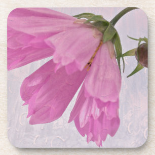 Pink Textured Cosmo Blume Getränkeuntersetzer