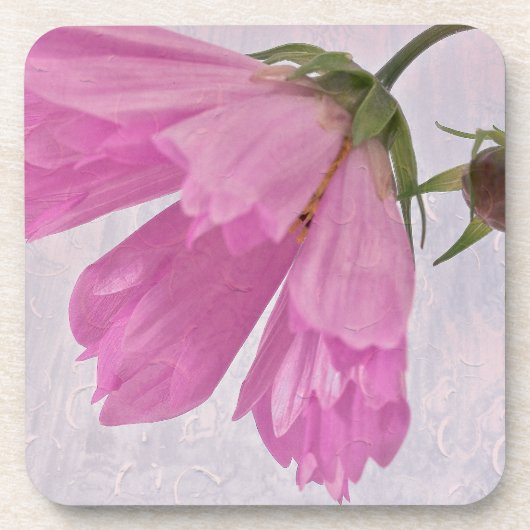 Pink Textured Cosmo Blume Getränkeuntersetzer (Vorderseite)