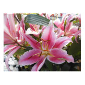 Pink Tiger Lilies Fotodruck (Vorne)