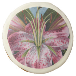 Pink Tiger Lily