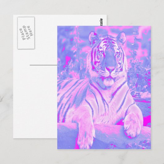 Pink Tiger Postkarte (Vorne/Hinten)