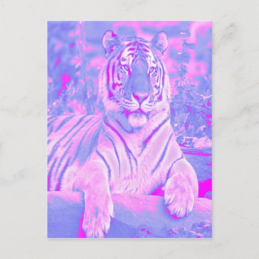 Pink Tiger Postkarte (Vorderseite)