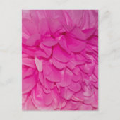 Pink Tissue Blume Realistisches Textil-Foto Postkarte (Vorderseite)