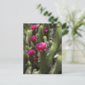 Pink Torch Cactus Postkarte (Stehend Vorderseite)
