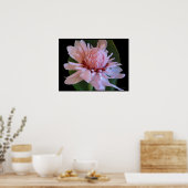 Pink Torch Ginger Hawaii Exotic Poster Prints (Küche)